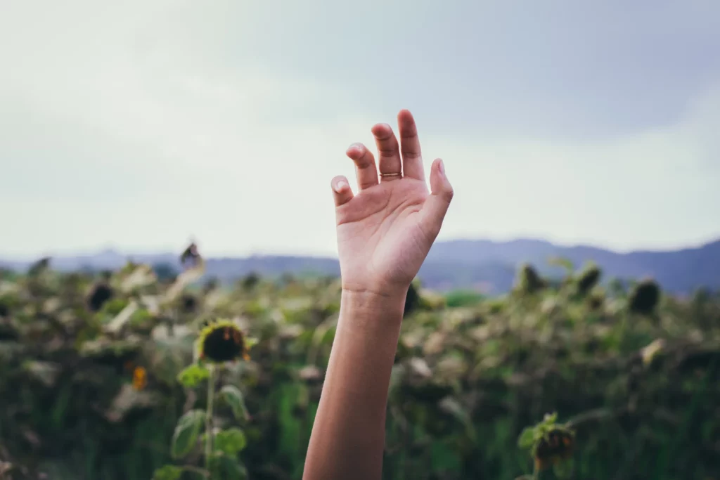 stand up for gun rights