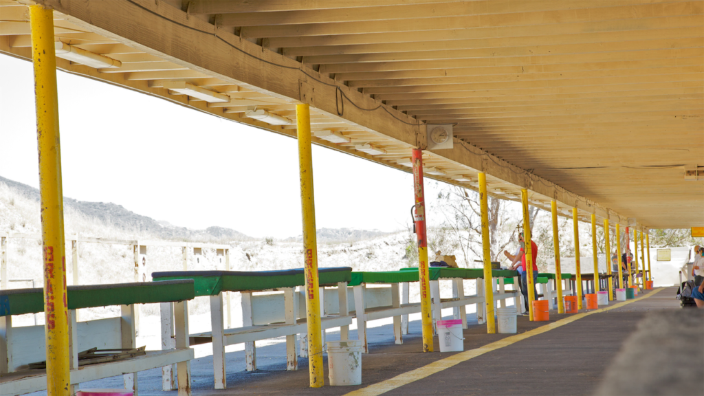 can you shoot at range polymer 80 ghost gun