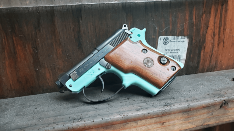 bobkatz berreta 21a 3d (1)